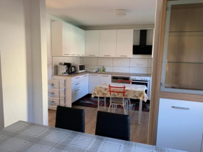 Monteurzimmer Ferienwohnung Kati Apt 1